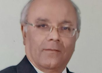 د. محمد عطية الفيومي: مطلوب خطط للترويج للاستثمار في قناة السويس