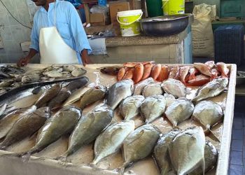 انخفاض أسعار السمك البلطى وارتفاع الجمبري بالاسواق اليوم الجمعة 9 اغسطس