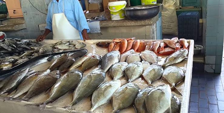 انخفاض أسعار السمك البلطى وارتفاع الجمبري بالاسواق اليوم الجمعة 9 اغسطس