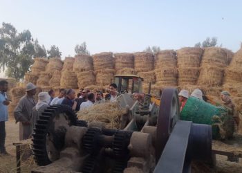 الزراعة والبيئة يواصلان متابعة منظومة جمع وتدوير قش الارز ومكافحة السحابة السوداء في محافظة الدقهلية