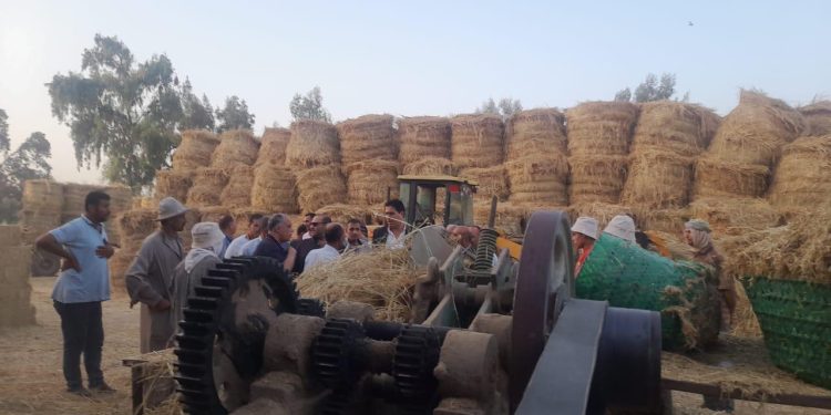 الزراعة والبيئة يواصلان متابعة منظومة جمع وتدوير قش الارز ومكافحة السحابة السوداء في محافظة الدقهلية