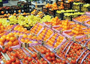 وزير الزراعة: 6.1 مليون طن صادرات مصر الزراعية بقيمة 3.6 مليار دولار .. بزيادة تتجاوز ال 800 مليون دولار عن نفس الفترة من العام الماضي