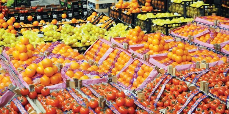 وزير الزراعة: 6.1 مليون طن صادرات مصر الزراعية بقيمة 3.6 مليار دولار .. بزيادة تتجاوز ال 800 مليون دولار عن نفس الفترة من العام الماضي