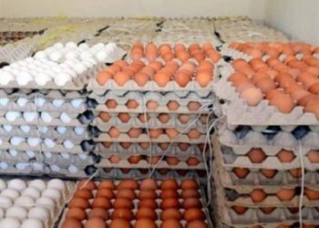 تراجع 24 جنيهًا.. انخفاض سعر طبق البيض بعد تغريم محتكري السلعة 20 مليون جنيه