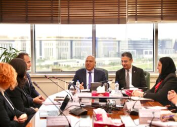 وزير الصناعة يبحث مع ممثلي شركة كرونوسبان النمساوية المتخصصة في الصناعات الخشبية خطط الشركة المستقبلية في السوق المصري بحضور وزير التموين والتجارة الداخلية