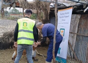 “الزراعة” تطلق قافلتين بيطريتين لدعم المربين في شمال سيناء