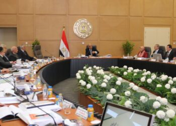 الدكتور محمود عصمت: خطة عاجلة لإتاحة الطاقة الكهربائية بجودة واستقرار واستمرارية على مختلف الجهود ولكافة الاستخدامات 