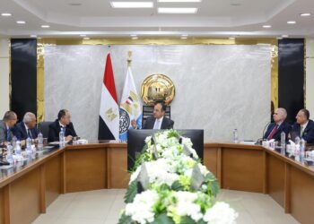 وزير قطاع الأعمال العام يلتقي رئيس شركة CNRC الصينية الرائدة عالميا في صناعة الإطارات لبحث سبل التعاون