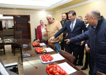 بذور مصرية .. «الزراعة» تنجح في استنباط 8 أصناف جديدة من تقاوي الطماطم