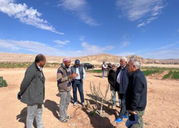 تعزيز التعاون بين بحوث الصحراء والمركز العربي لدراسات المناطق الجافة والأراضي القاحلة لتنمية جنوب سيناء