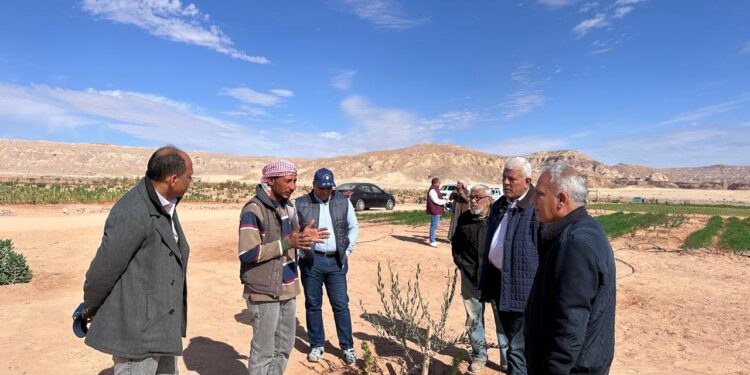 تعزيز التعاون بين بحوث الصحراء والمركز العربي لدراسات المناطق الجافة والأراضي القاحلة لتنمية جنوب سيناء