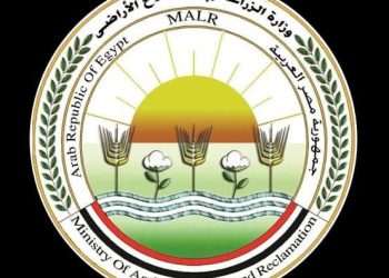 الزراعه: فتح باب استيراد كتاكيت التسمين والبياض والبيض المخصب كمدخلات إنتاج وبيض المائدة لضبط الأسعار