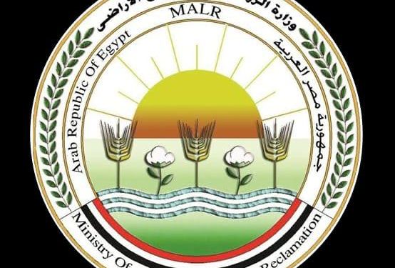 الزراعه: فتح باب استيراد كتاكيت التسمين والبياض والبيض المخصب كمدخلات إنتاج وبيض المائدة لضبط الأسعار
