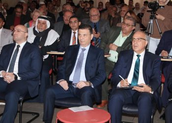 وزير الزراعة: الدولة المصرية في عهد الرئيس السيسي بذلت قصارى جهدها في استصلاح الأراضي الجديدة