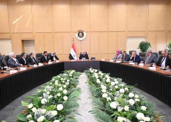 وزير الصناعة يبحث مع وفد من 9 شركات تركية متخصصة في 3 مجالات الاستثمارات الحالية وخططها المستقبلية للتوسع بالسوق المصري