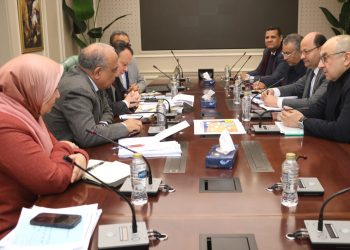 وزيرا الكهرباء وقطاع الأعمال العام يبحثان سبل التعاون في مجال الطاقة المتجددة والتحول الأخضر