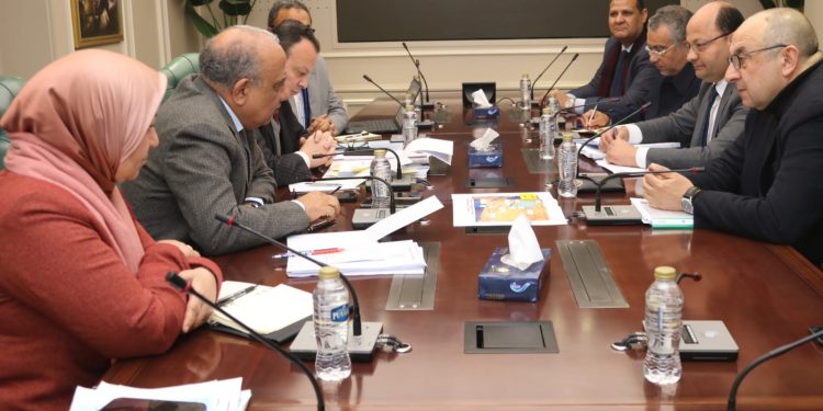 وزيرا الكهرباء وقطاع الأعمال العام يبحثان سبل التعاون في مجال الطاقة المتجددة والتحول الأخضر