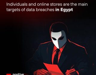 23 % من البيانات المسروقة إلكترونياً  في مصر ترجع للأفراد و27 للأسرار التجارية 