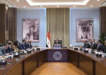 رئيس الوزراء يستعرض مشروعا مقترحا لإنتاج الهيدروجين والأمونيا الخضراء بخليج السويس