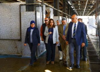 وزيرة التنمية المحلية ومحافظ القليوبية يتفقدان مجزر الخانكة لادراجه في خطة تطوير ورفع كفاءة المجازر علي مستوي الجمهورية في العام المالي الحالي
