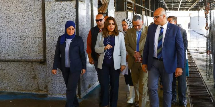 وزيرة التنمية المحلية ومحافظ القليوبية يتفقدان مجزر الخانكة لادراجه في خطة تطوير ورفع كفاءة المجازر علي مستوي الجمهورية في العام المالي الحالي