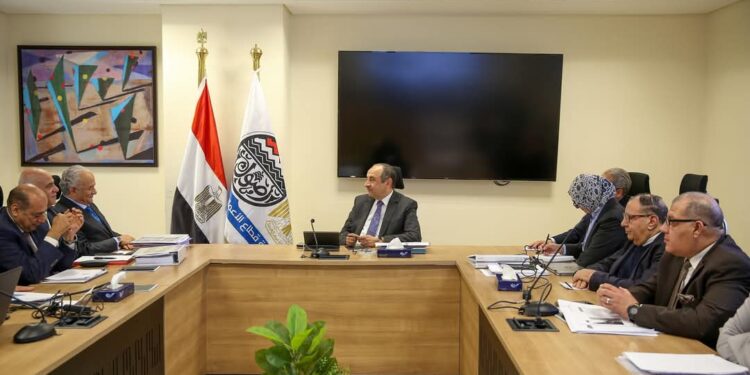 وزير قطاع الأعمال العام يستعرض موقف مشروعات القابضة للسياحة والفنادق