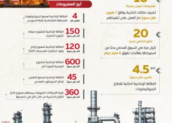 إنفوجراف عن مشروعات البتروكيماويات الجديدة لتوطين الصناعات المحلية وتقليل الاستيراد