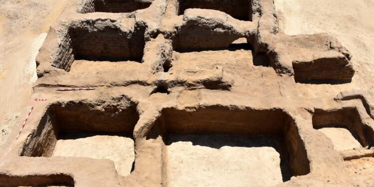 اكتشافات أثرية جديدة بمحافظة الإسماعيلية .. العثور على مقبره لأحد القادة العسكريين من عصر الملك رمسيس الثالث