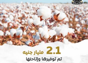 إنفوجراف .. 2.1 مليار جنيه تم توفيرها واتاحتها لسداد مستحقات مزراعي القطن 