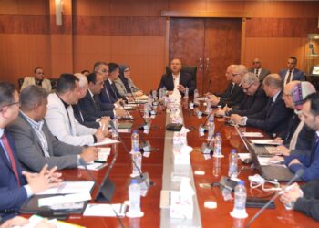  وزير الصناعة يتابع تقدم اعمال الترفيق بتوسعات المناطق الصناعية في 5 مدن جديدة 