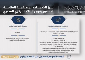 إنفوجراف عن أبرز الخدمات المصرفية المتاحة للجمهور بفروع البنك المركزي المصري