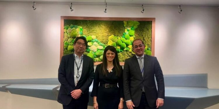 وزيرة التخطيط والتعاون الدولي تبحث مع مسئولي وكالة «ميجا» توسيع نطاق ضمانات الاستثمار في السوق المصري