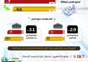 إنفوجراف .. سوق العمل شهد تحسنًا ملحوظًا في مؤشرات التشغيل خلال عام 2024