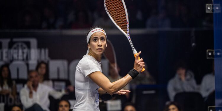 سيطرة مصرية مطلقة على نهائي الجونة الدولية للإسكواش في نسختها الـ13