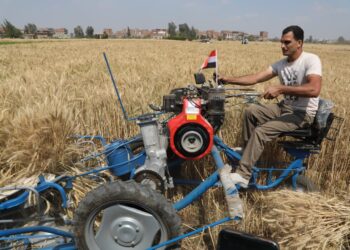 وزير الزراعة يوجه بخفض تكاليف معدات الحصاد لمزارعي القمح