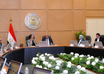 وزيرا الكهرباء والبيئة يبحثان سبل العمل المشترك والتنسيق والتعاون في قضايا البيئة والطاقات المتجددة