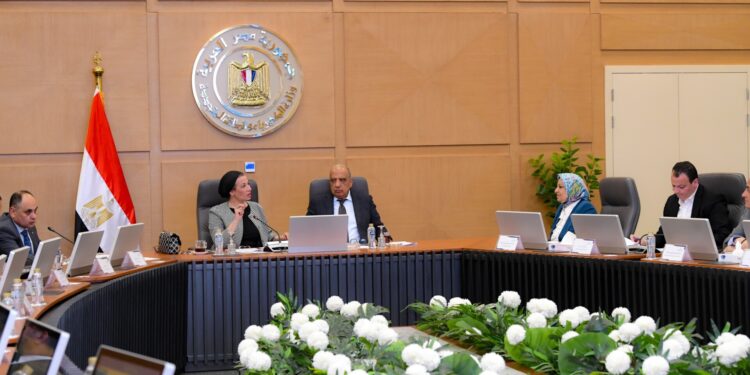 وزيرا الكهرباء والبيئة يبحثان سبل العمل المشترك والتنسيق والتعاون في قضايا البيئة والطاقات المتجددة