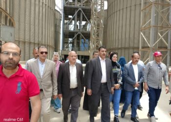 «الزراعة» تواصل متابعة أعمال حصاد وتوريد القمح بالمحافظات