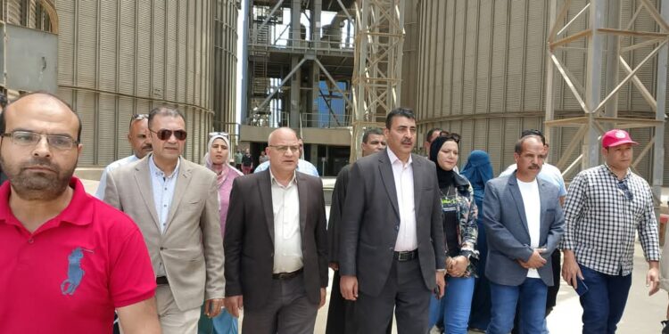 «الزراعة» تواصل متابعة أعمال حصاد وتوريد القمح بالمحافظات