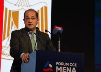 وزير المالية لممثلي كبرى الشركات الفرنسية الاقتصاد المصرى يتحرك بخطى جيدة.. ويوفر فرصًا استثمارية كبيرة