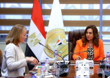 وزيرة التنمية المحلية تتابع مع وفد البنك الدولي الموقف التنفيذي لمشروعات تنمية الصعيد وإشراك القطاع الخاص بالمناطق الصناعية