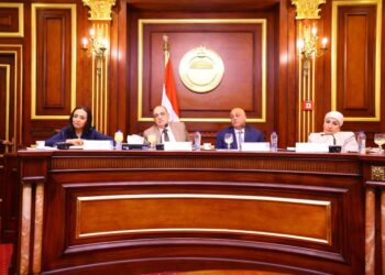 وزيرة التضامن الاجتماعي تشارك في اجتماع لجنة المشروعات المتوسطة والصغيرة ومتناهية الصغر بمجلس النواب