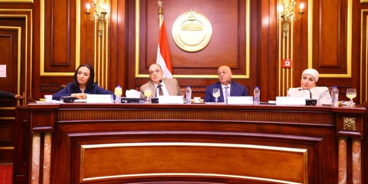 وزيرة التضامن الاجتماعي تشارك في اجتماع لجنة المشروعات المتوسطة والصغيرة ومتناهية الصغر بمجلس النواب