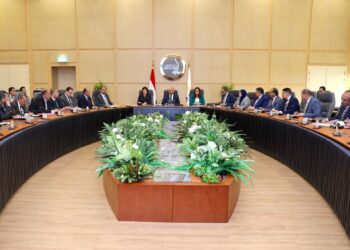 وزير الصناعة يتابع مع عدد من الوزراء والمحافظين الموقف التنفيذي لمشروعات التنمية الصناعية ببرنامج التنمية المحلية بصعيد مصر 