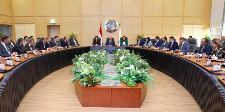 وزير الصناعة يتابع مع عدد من الوزراء والمحافظين الموقف التنفيذي لمشروعات التنمية الصناعية ببرنامج التنمية المحلية بصعيد مصر 