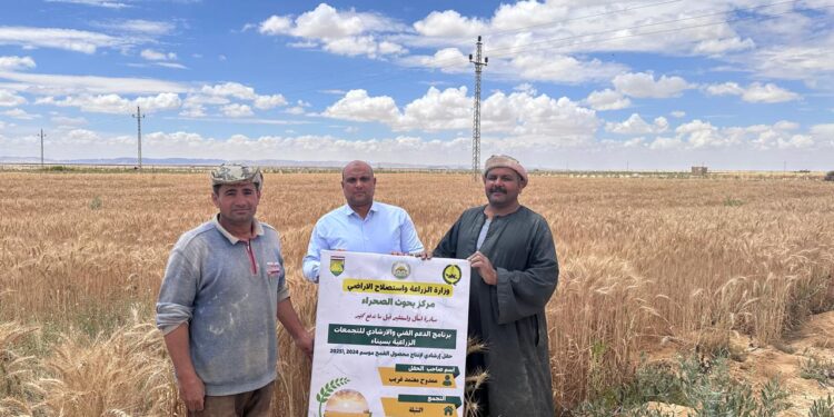 وزير الزراعة يتابع جهود «بحوث الصحراء» و «الزراعة الآلية» لحصاد القمح والشعير في شمال وجنوب سيناء