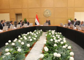 وزير الكهرباء يبحث مع مجموعة «إنكوم» التعاون فى مجالات الطاقة المتجددة وتخزين الطاقة وتوطين صناعة البطاريات