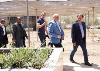 «بحوث الصحراء» يبحث مع وفد «إيكاردا» سبل تعزيز الاستدامة الزراعية بمطروح