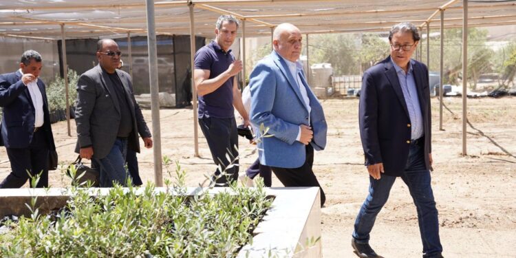 «بحوث الصحراء» يبحث مع وفد «إيكاردا» سبل تعزيز الاستدامة الزراعية بمطروح