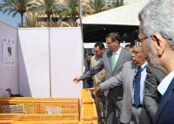وزير الزراعة يفتتح المعرض والمؤتمر الأول لمركز البحوث الزراعية حول الابتكار وريادة الأعمال